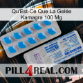 What Is Kamagra Jelly 100Mg new15